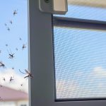 Scopri i Vantaggi del Bonus Zanzariere: Risparmia e Proteggi la Tua Casa!